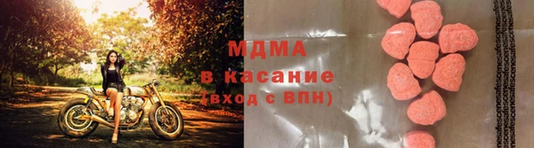 СК Вязьма