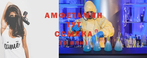 СК Вязьма
