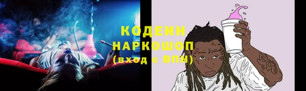СК Вязьма