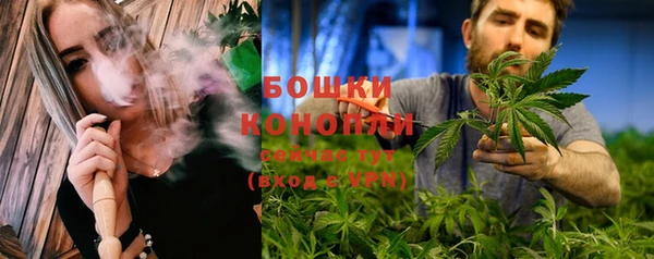 соль ск Верхний Тагил