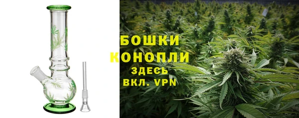 СК Вязьма