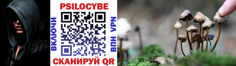 Псилоцибиновые грибы GOLDEN TEACHER  наркошоп  blacksprut ссылка  Заволжск 